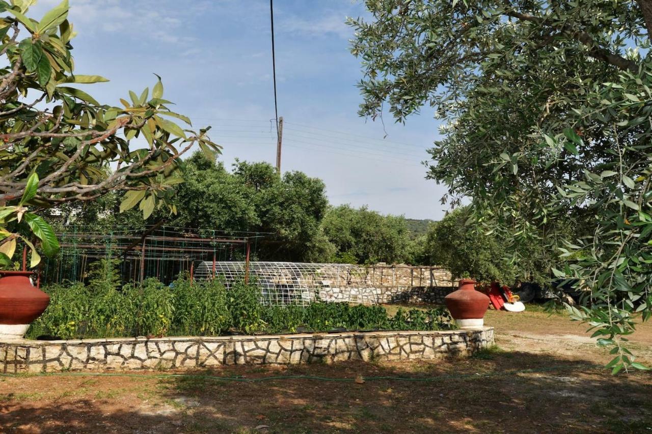 Penelope'S House Villa Skala Kallirakhis Bagian luar foto